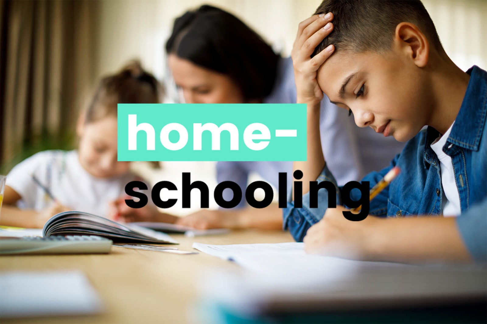 Homeschooling-ul