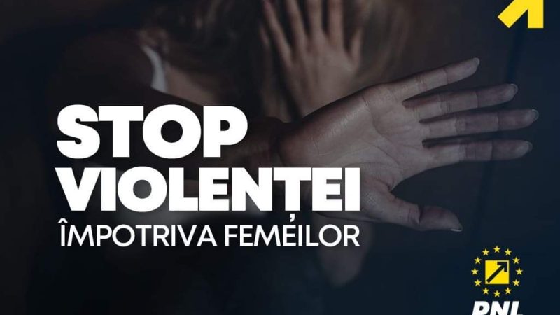 Directiva europeană pentru combaterea violenței domestice și a violenței împotriva femeilor a intrat oficial în vigoare