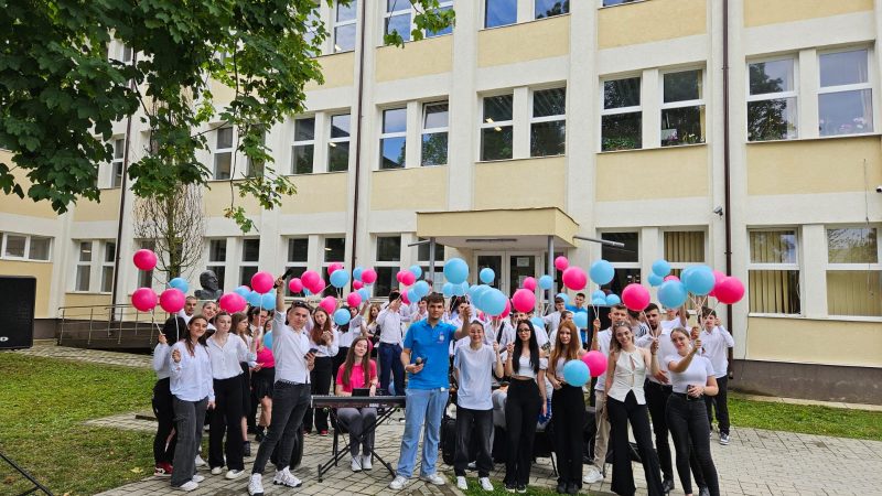 Colegiul Naţional Mircea Eliade Reșița – Liceul unde performezi sigur!