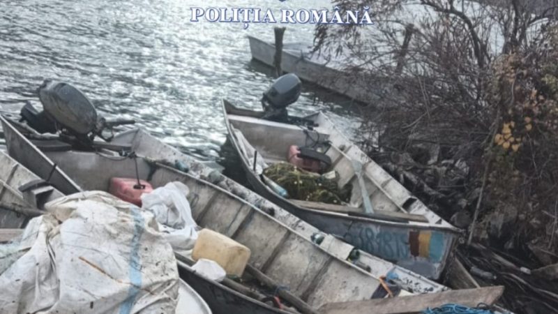 Percheziții la pescari! 1000 de kilograme de pește confiscate și o arestare!